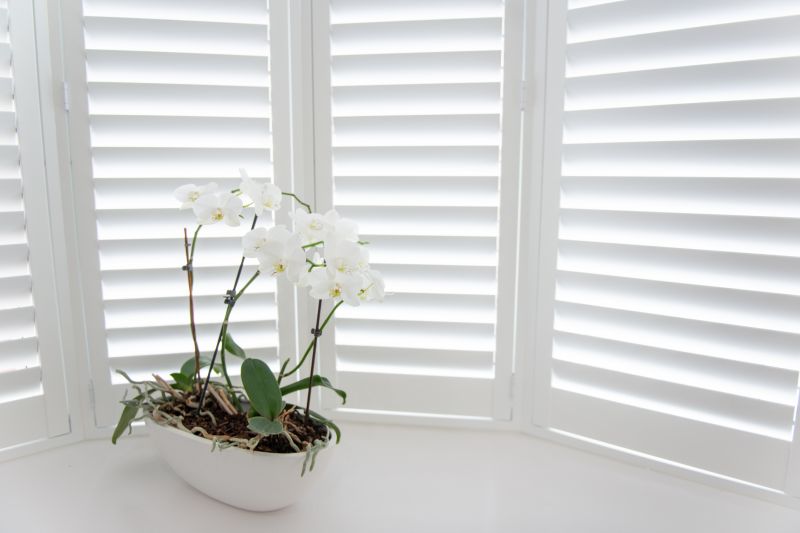 Shutters Installation in Kansas City, KS
