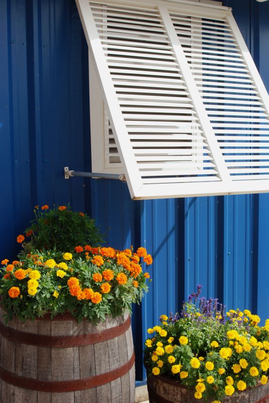 Window Shutters Replacement in Overland Park, KS
